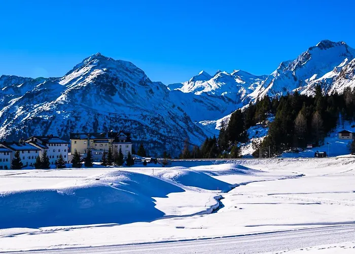 Orman Evi Kulm Maloja