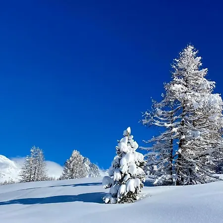 Kulm אכסניה מלויאז